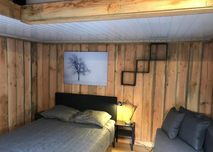 Casa Chalet S * Putten